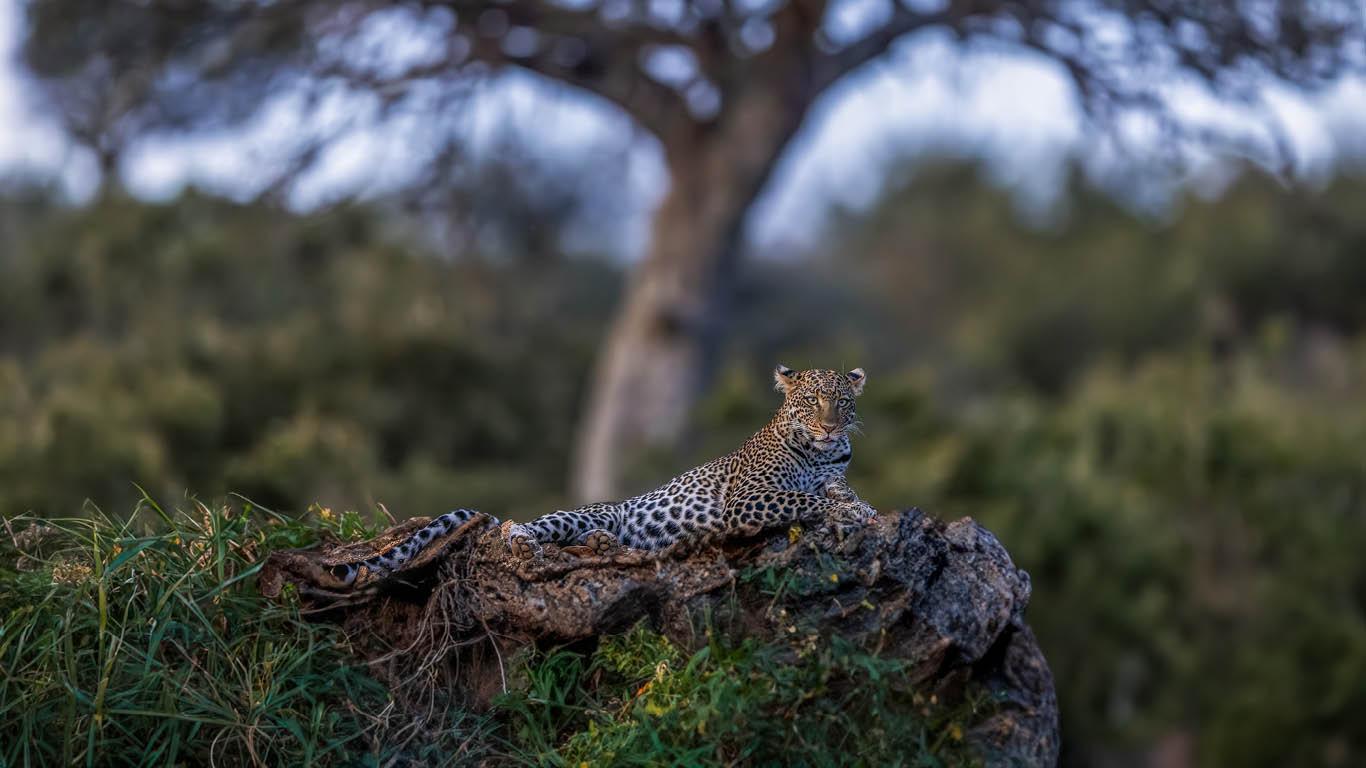 Serengeti National Park
