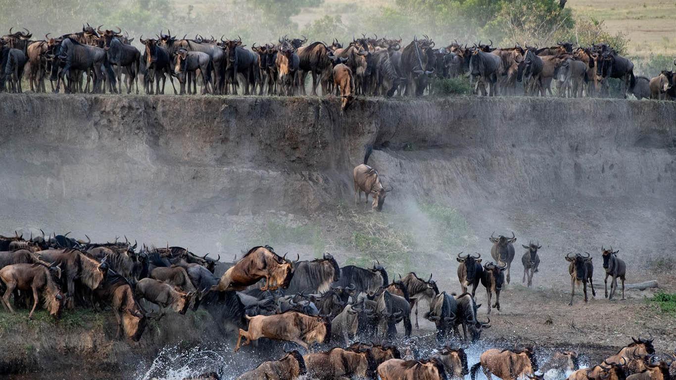 Serengeti National Park