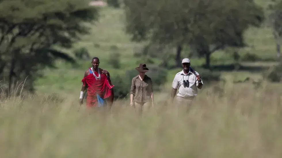 Tarangire Game Walk