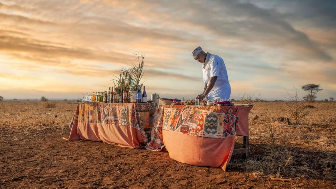 Cheetah on the lookout in the Savannah