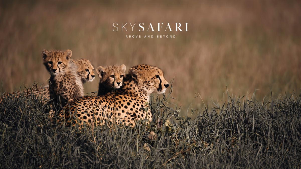 SkySafari June 2024 Newsletter