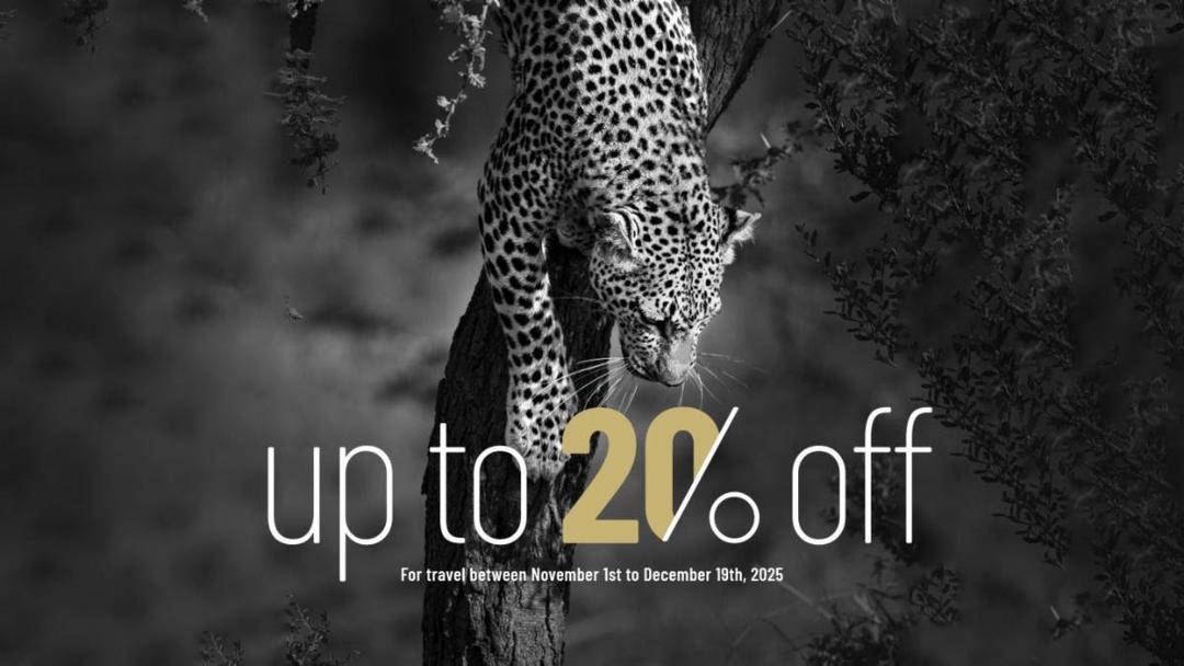 Special Offer - Up to 20% discount
